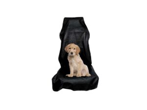 Capa banco modelagem universal